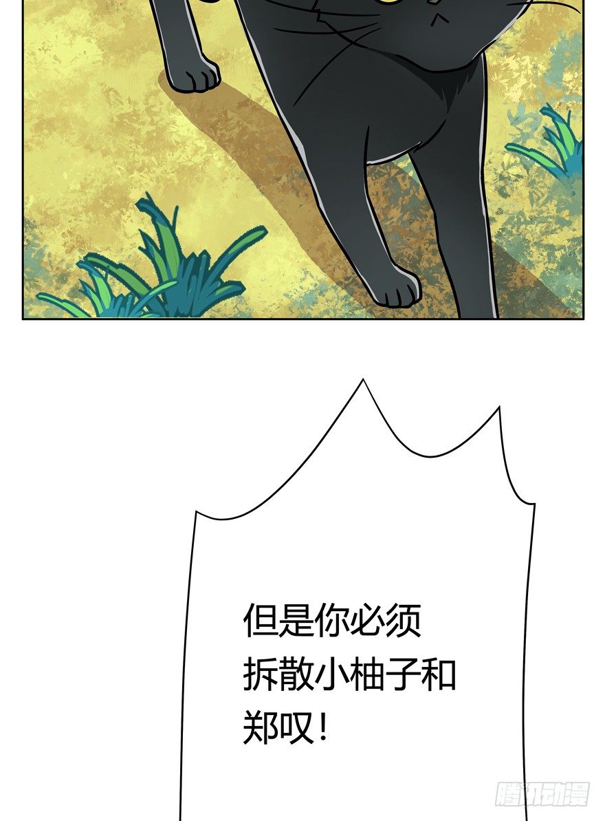 《回到过去变成猫外传》第58爪 到底是谁（上） 第27页