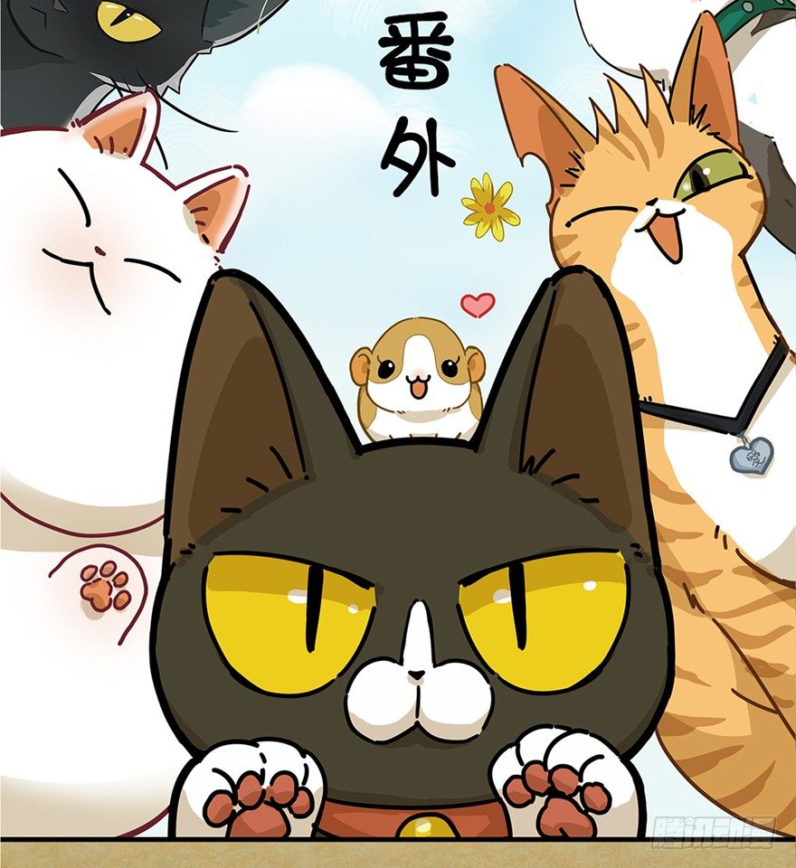 《回到过去变成猫外传》第58爪 到底是谁（上） 第2页