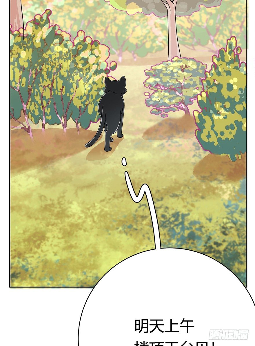 《回到过去变成猫外传》第58爪 到底是谁（上） 第31页