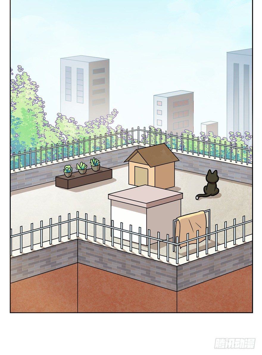 《回到过去变成猫外传》第58爪 到底是谁（上） 第34页