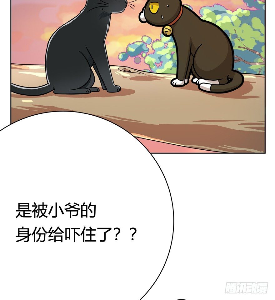 《回到过去变成猫外传》第58爪 到底是谁（上） 第5页