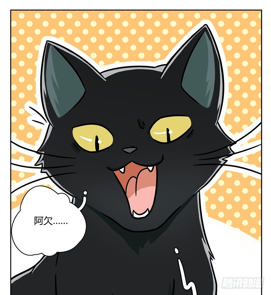 《回到过去变成猫外传》第58爪 到底是谁（上） 第8页