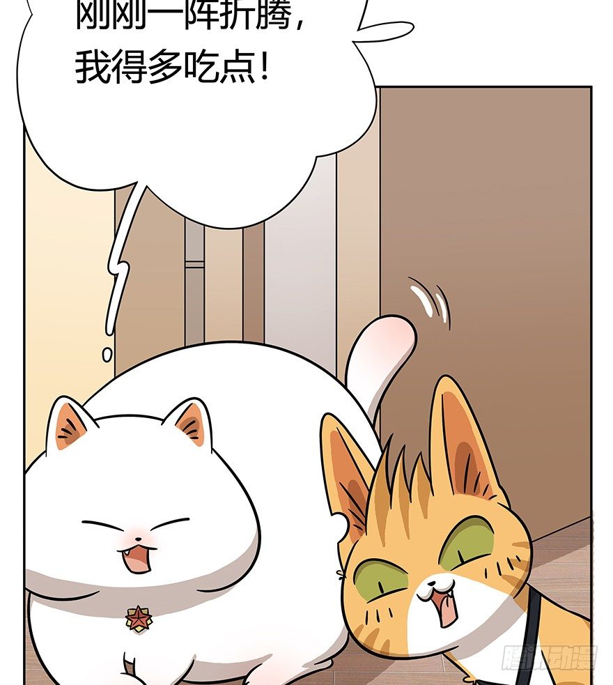 《回到过去变成猫外传》第62爪 “虐猫”照骗（下） 第10页