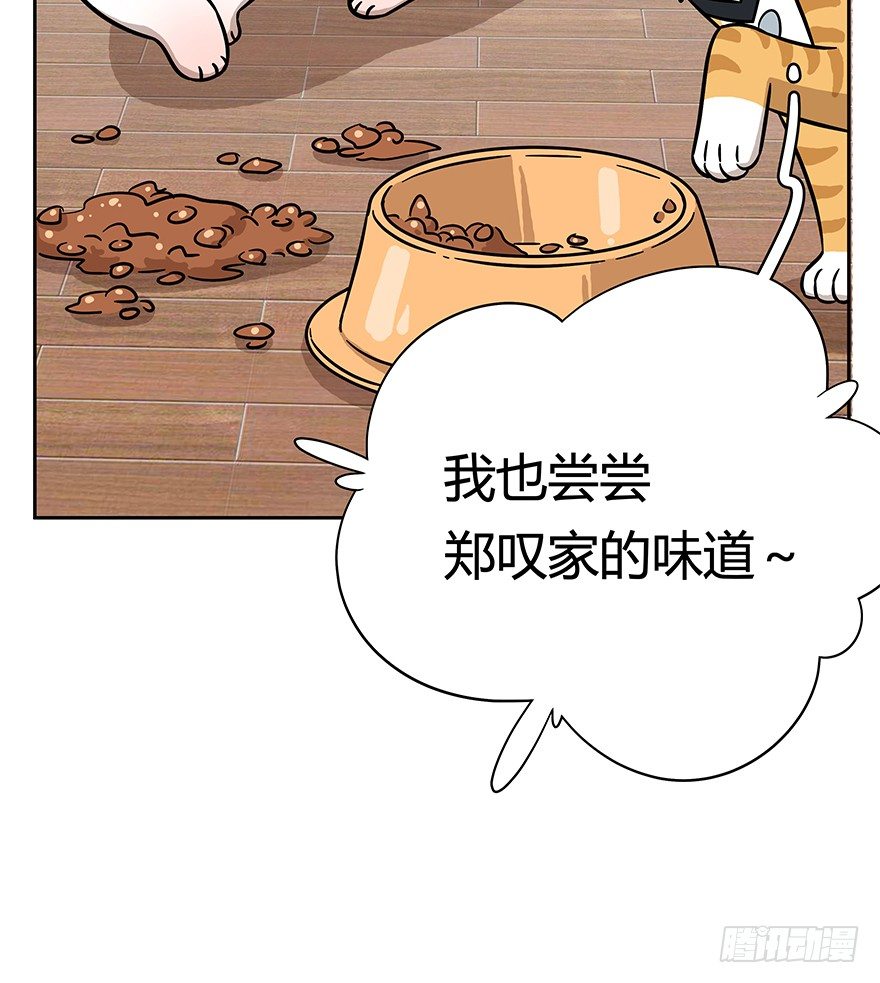 《回到过去变成猫外传》第62爪 “虐猫”照骗（下） 第11页