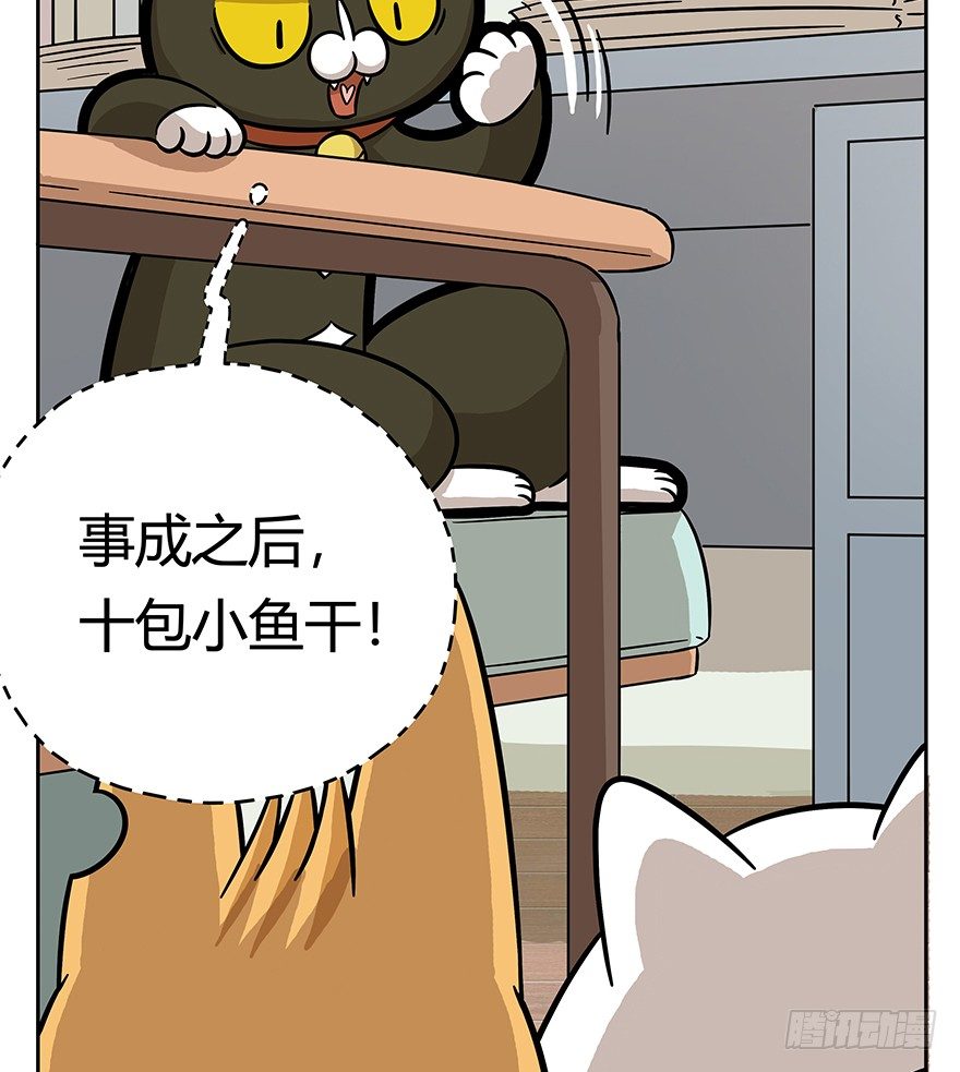 《回到过去变成猫外传》第62爪 “虐猫”照骗（下） 第13页