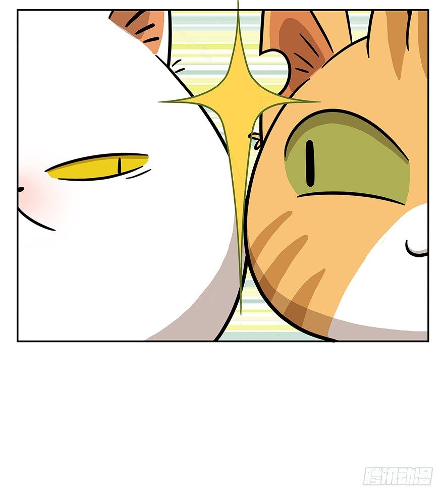 《回到过去变成猫外传》第62爪 “虐猫”照骗（下） 第15页
