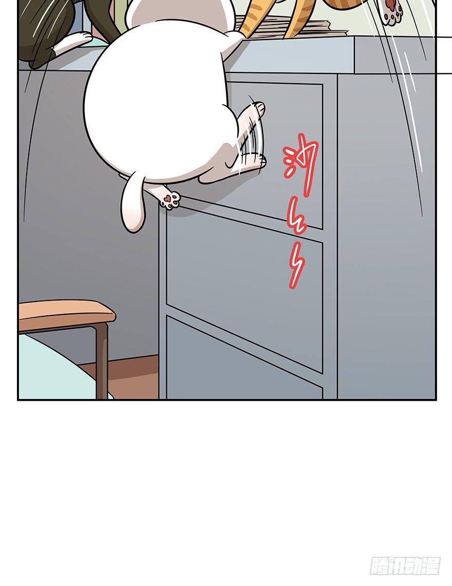《回到过去变成猫外传》第62爪 “虐猫”照骗（下） 第17页