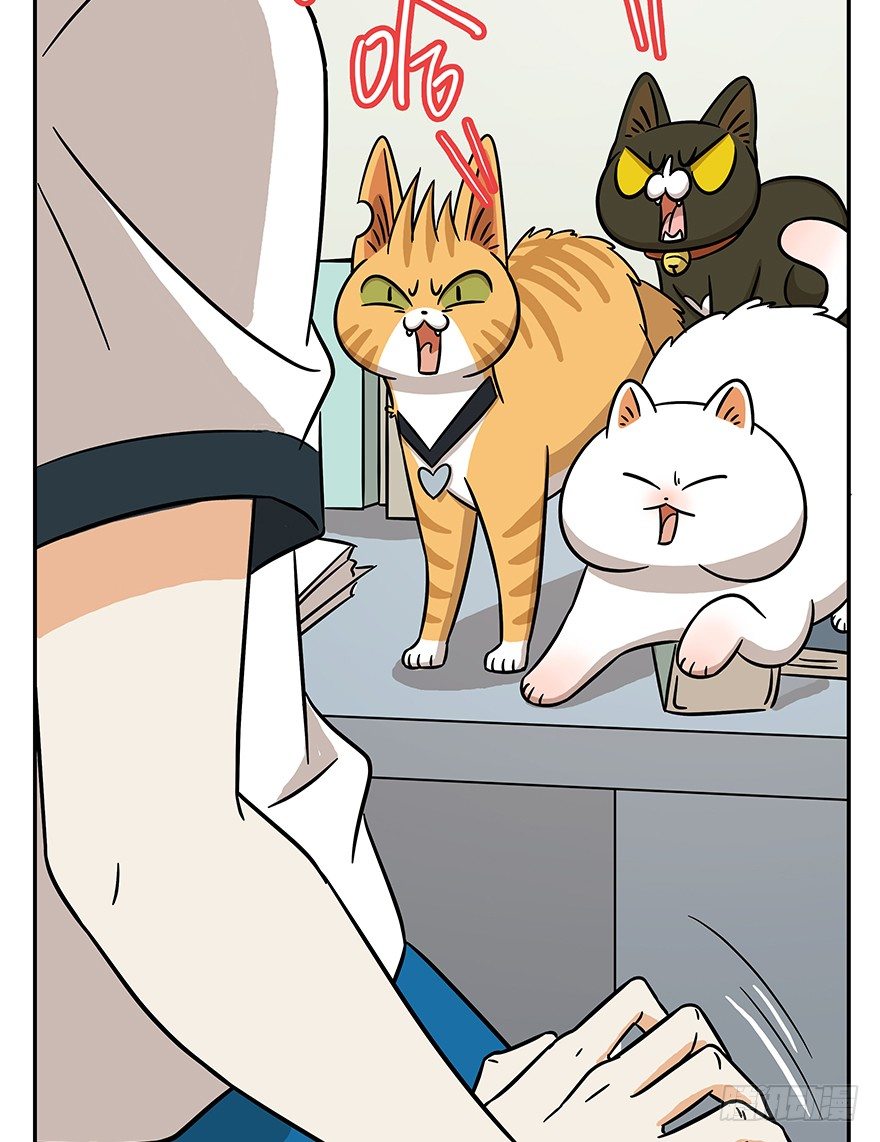 《回到过去变成猫外传》第62爪 “虐猫”照骗（下） 第19页