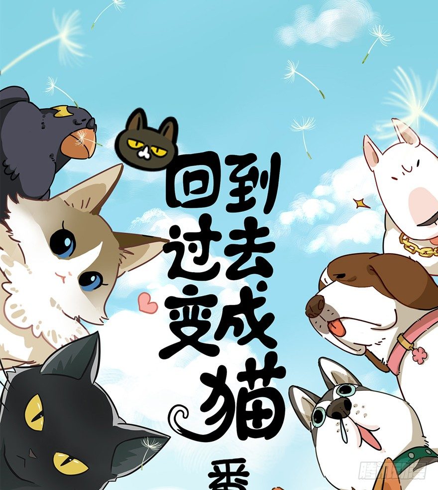《回到过去变成猫外传》第62爪 “虐猫”照骗（下） 第1页