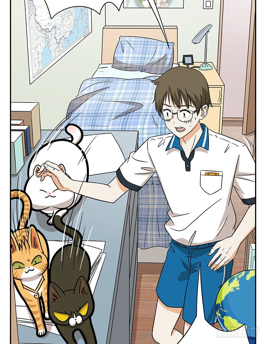 《回到过去变成猫外传》第62爪 “虐猫”照骗（下） 第21页