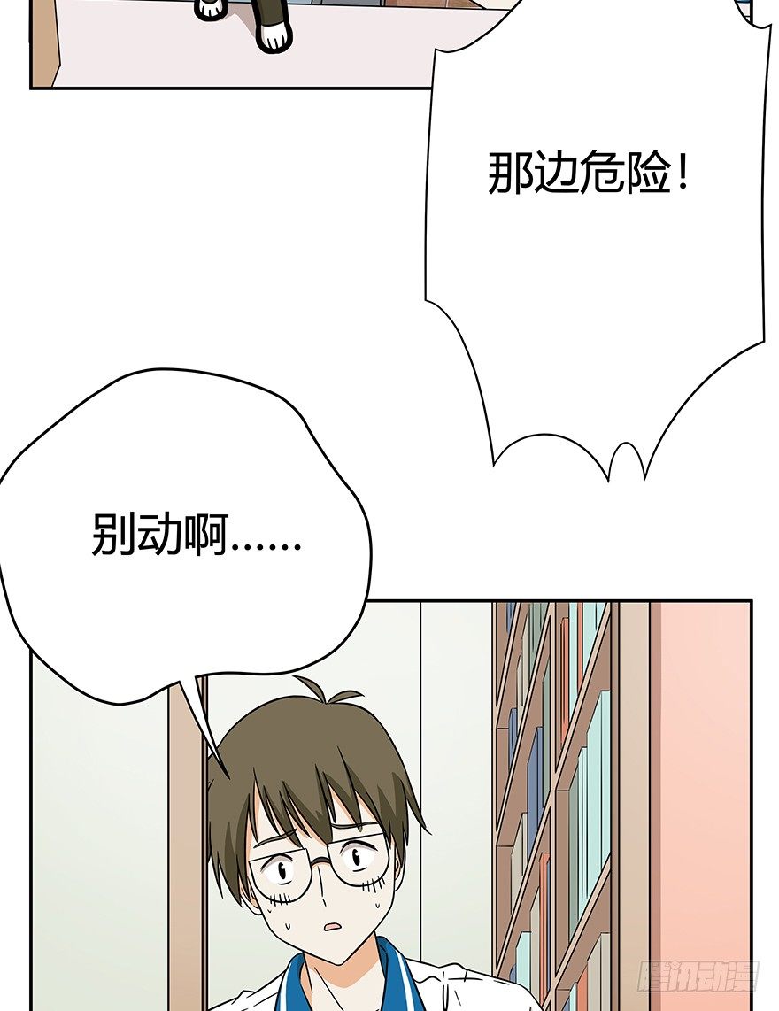 《回到过去变成猫外传》第62爪 “虐猫”照骗（下） 第22页