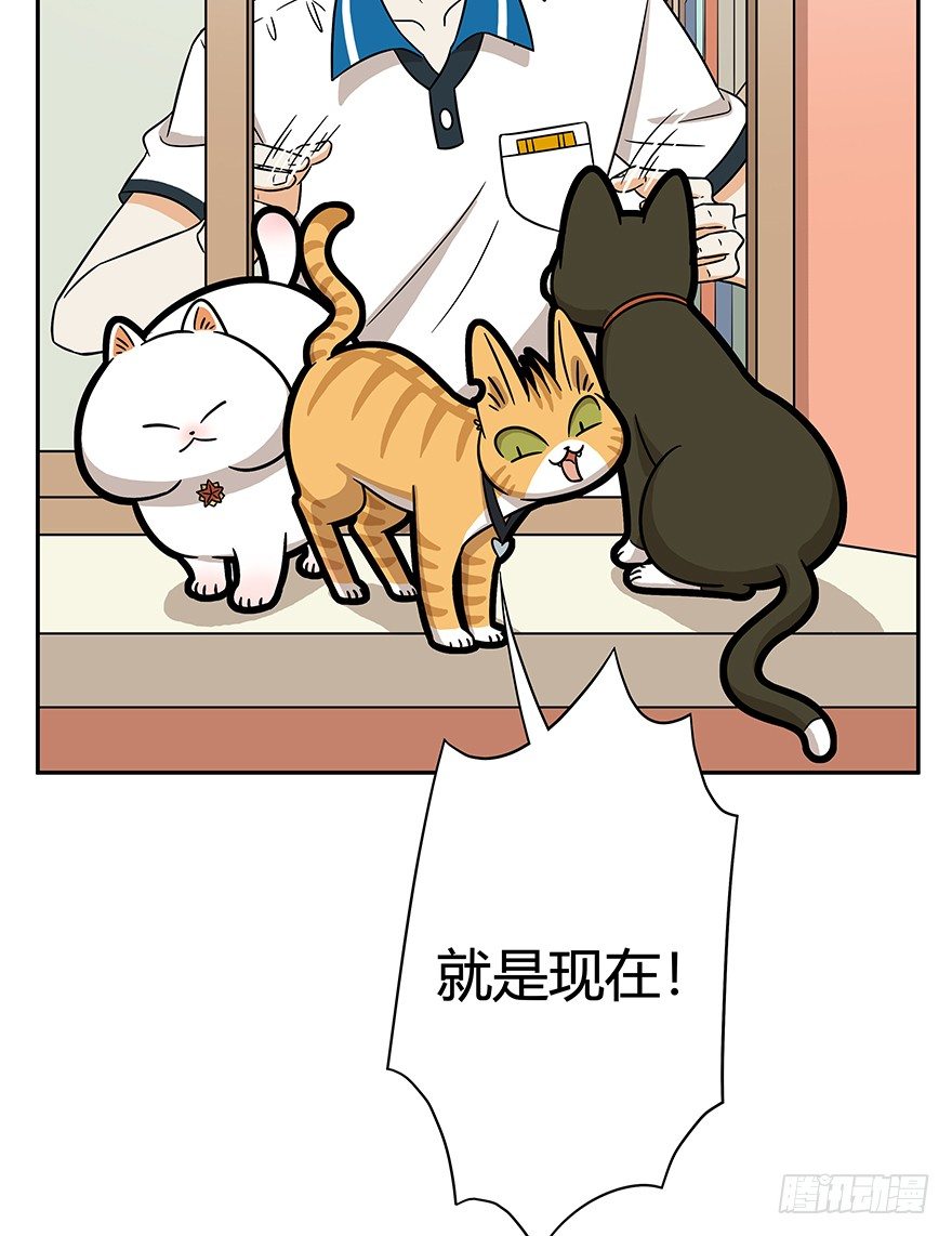 《回到过去变成猫外传》第62爪 “虐猫”照骗（下） 第23页