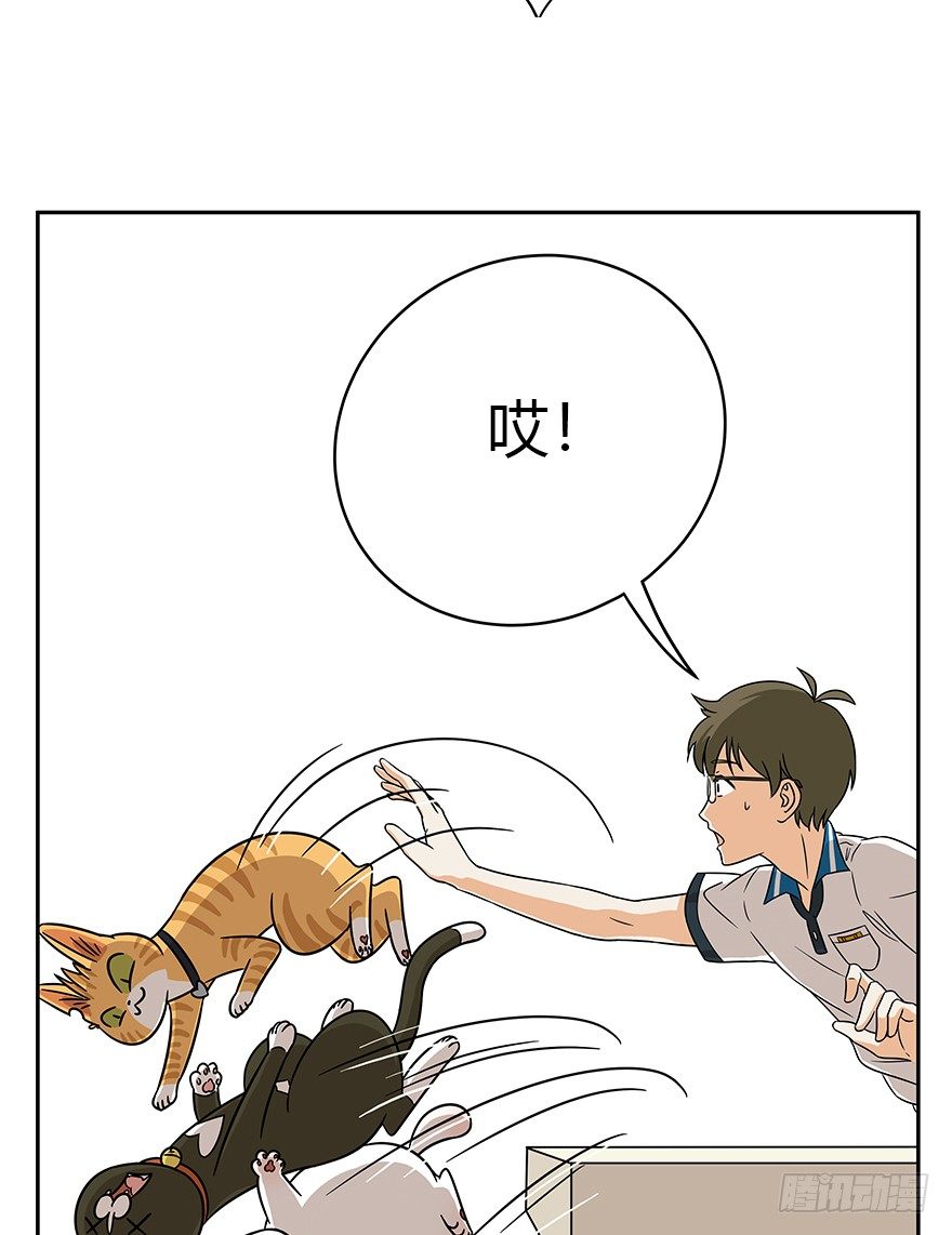 《回到过去变成猫外传》第62爪 “虐猫”照骗（下） 第24页