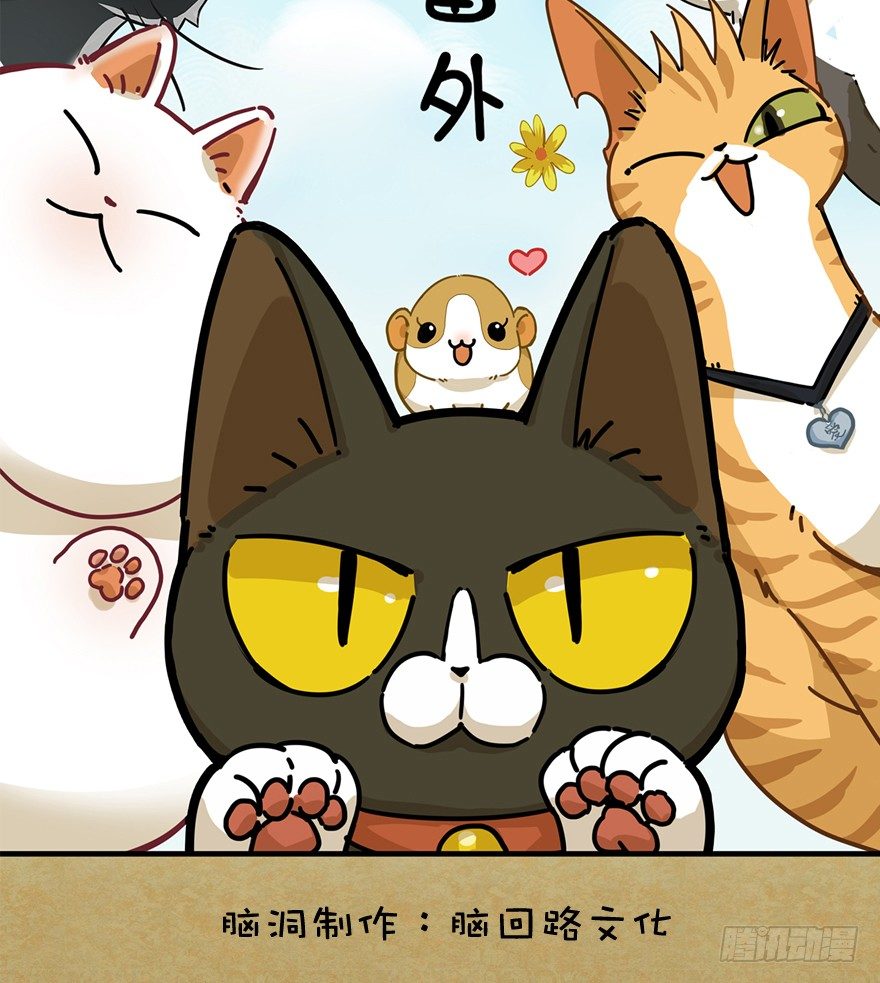 《回到过去变成猫外传》第62爪 “虐猫”照骗（下） 第2页