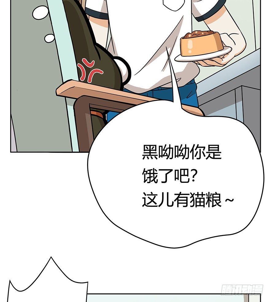 《回到过去变成猫外传》第62爪 “虐猫”照骗（下） 第5页