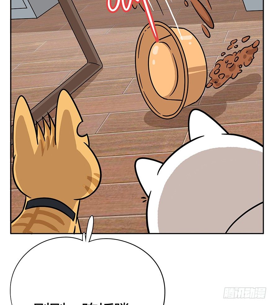 《回到过去变成猫外传》第62爪 “虐猫”照骗（下） 第9页