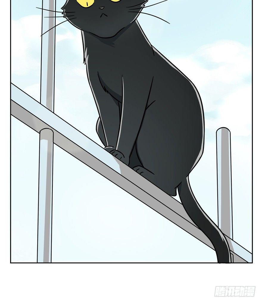 《回到过去变成猫外传》第59爪 到底是谁（下） 第15页