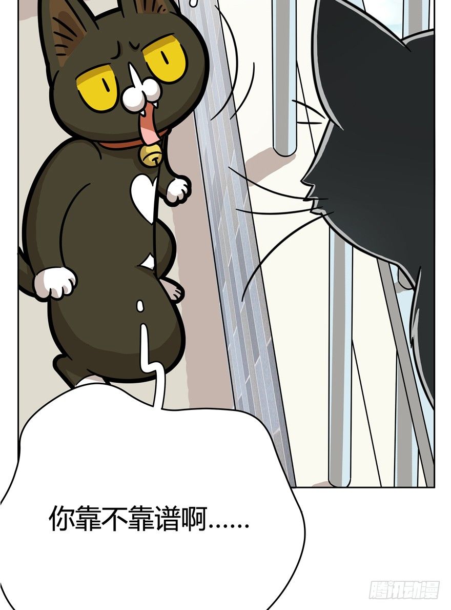 《回到过去变成猫外传》第59爪 到底是谁（下） 第17页