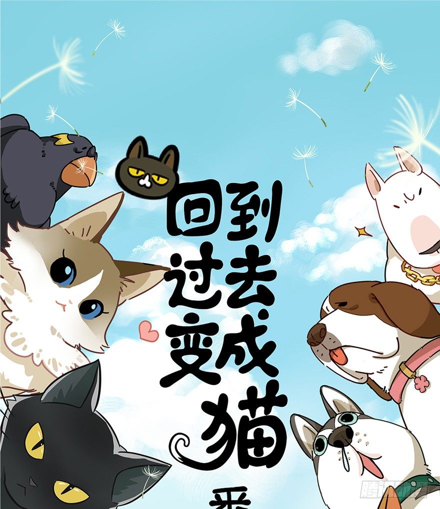 《回到过去变成猫外传》第59爪 到底是谁（下） 第1页