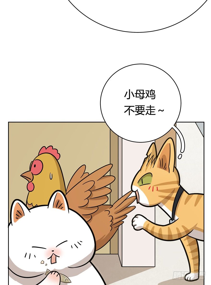 《回到过去变成猫外传》第59爪 到底是谁（下） 第20页