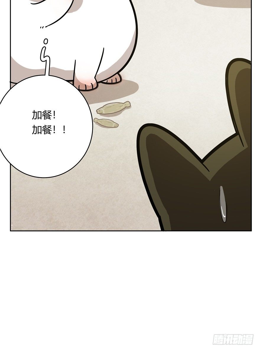 《回到过去变成猫外传》第59爪 到底是谁（下） 第21页