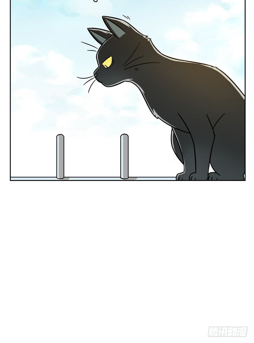 《回到过去变成猫外传》第59爪 到底是谁（下） 第25页