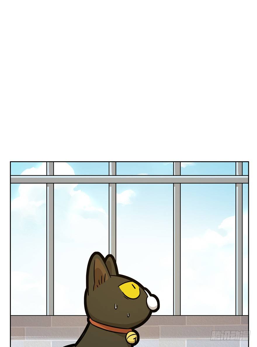 《回到过去变成猫外传》第59爪 到底是谁（下） 第26页