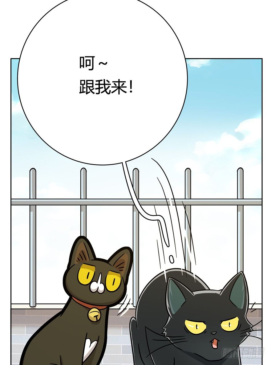 《回到过去变成猫外传》第59爪 到底是谁（下） 第28页