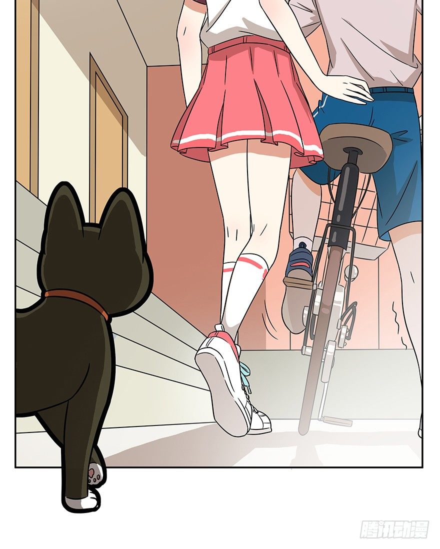《回到过去变成猫外传》第60爪 行动开始 第11页