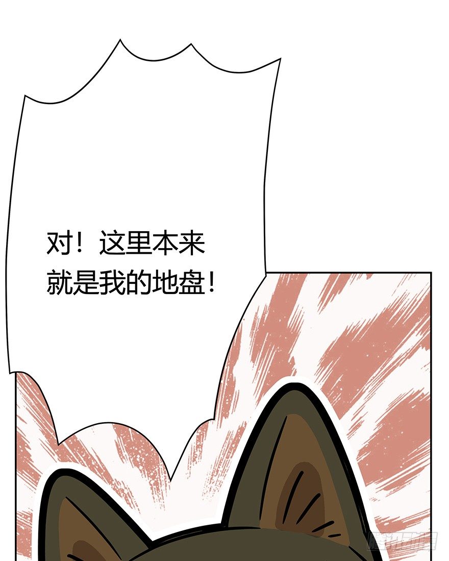 《回到过去变成猫外传》第60爪 行动开始 第14页