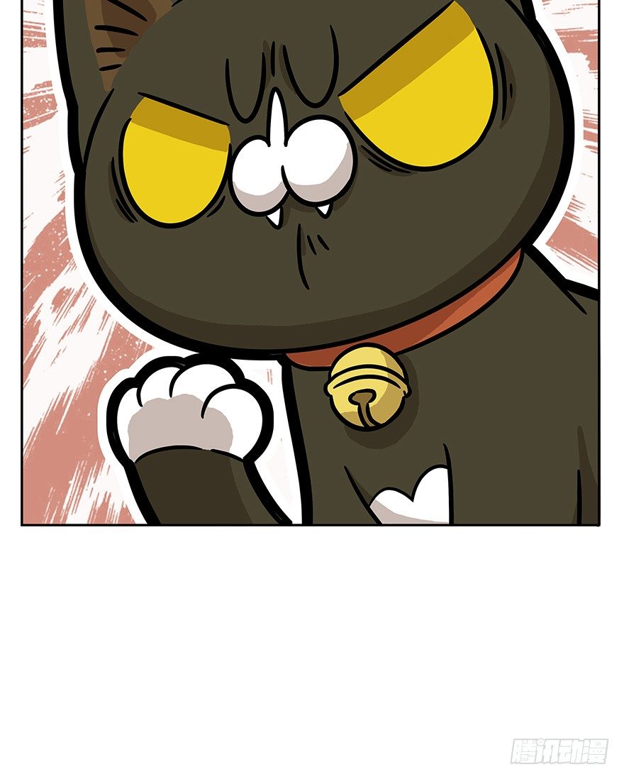 《回到过去变成猫外传》第60爪 行动开始 第15页