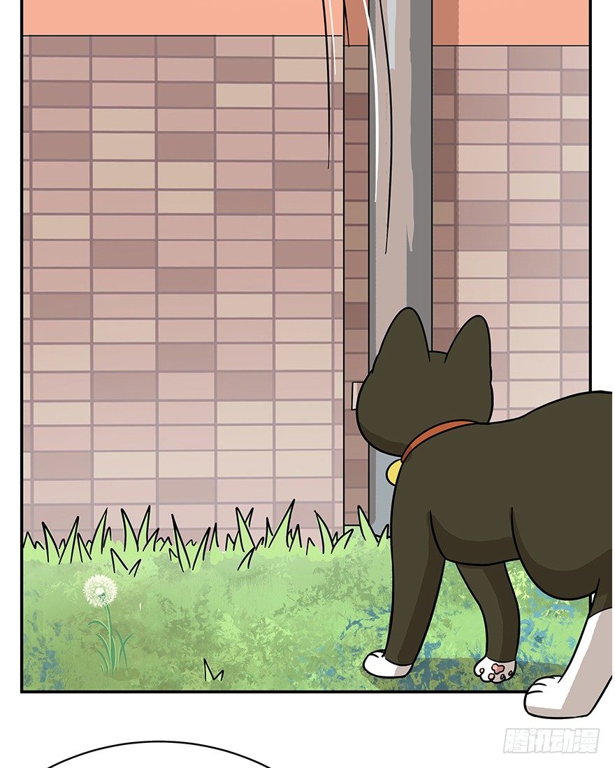 《回到过去变成猫外传》第60爪 行动开始 第17页
