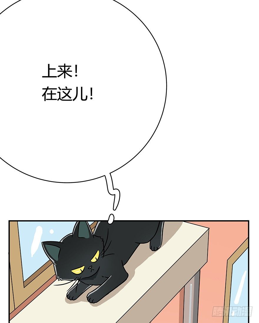 《回到过去变成猫外传》第60爪 行动开始 第18页