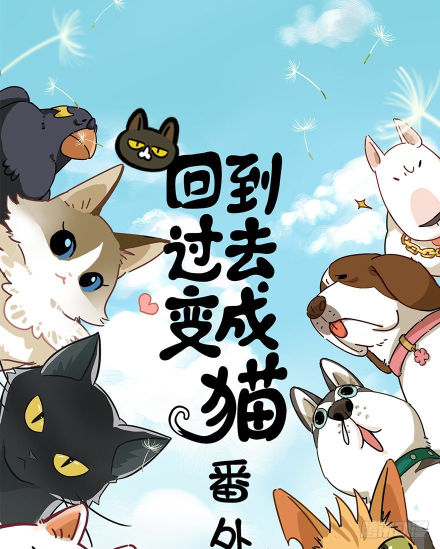 《回到过去变成猫外传》第60爪 行动开始 第1页
