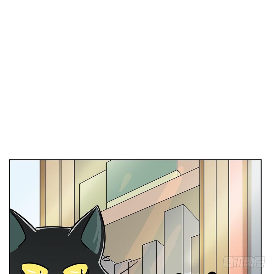《回到过去变成猫外传》第60爪 行动开始 第21页