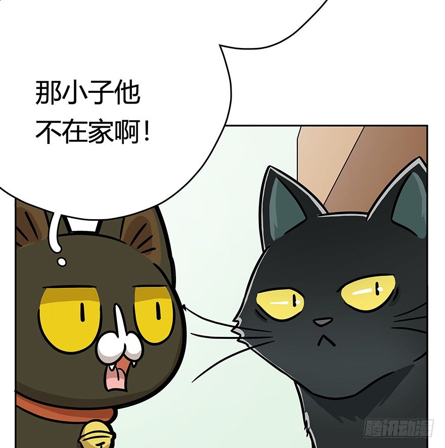 《回到过去变成猫外传》第60爪 行动开始 第27页