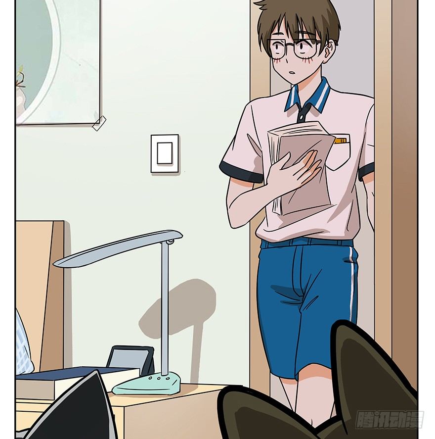 《回到过去变成猫外传》第60爪 行动开始 第29页