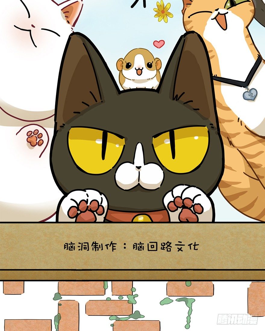 《回到过去变成猫外传》第60爪 行动开始 第2页