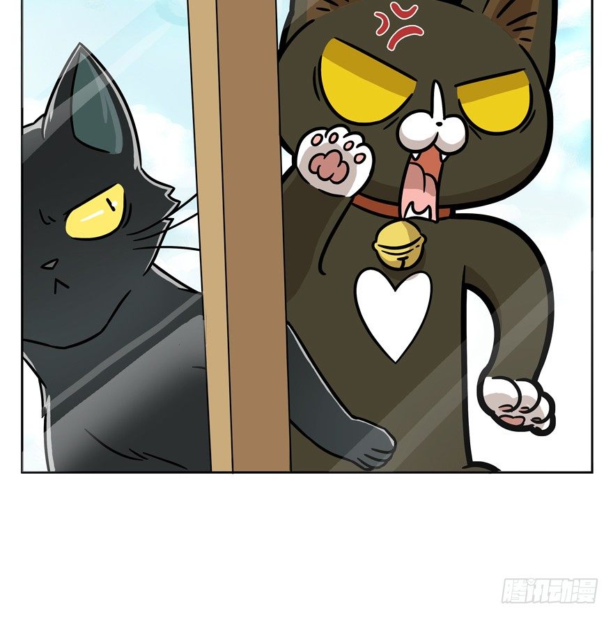 《回到过去变成猫外传》第60爪 行动开始 第35页