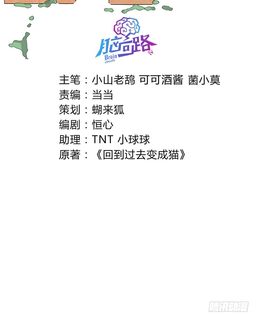 《回到过去变成猫外传》第60爪 行动开始 第3页