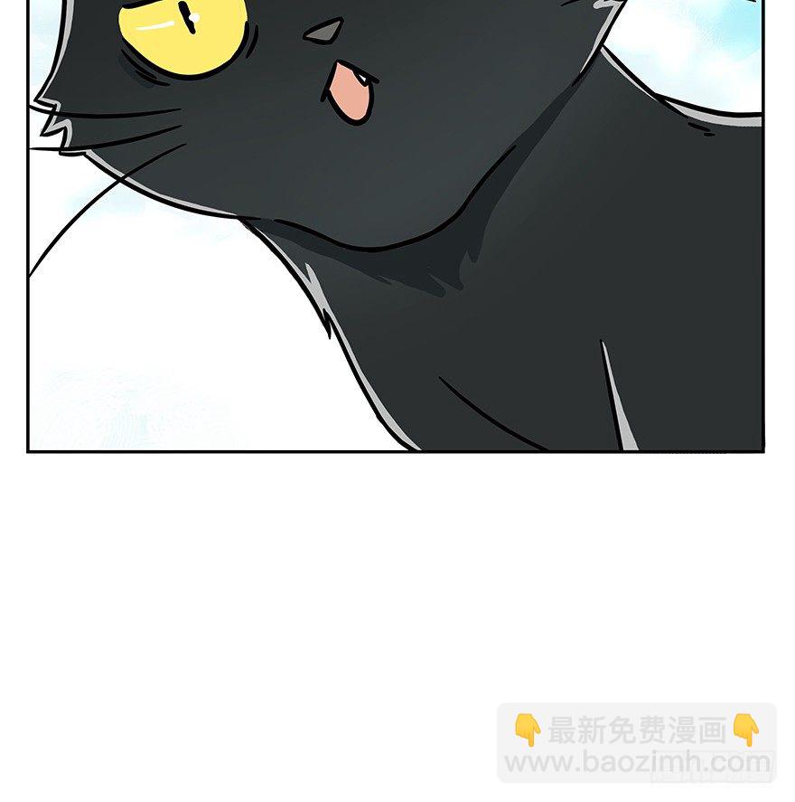 《回到过去变成猫外传》第60爪 行动开始 第40页