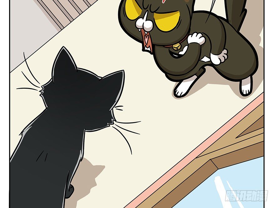 《回到过去变成猫外传》第60爪 行动开始 第45页