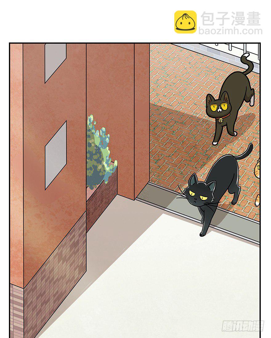 《回到过去变成猫外传》第60爪 行动开始 第4页