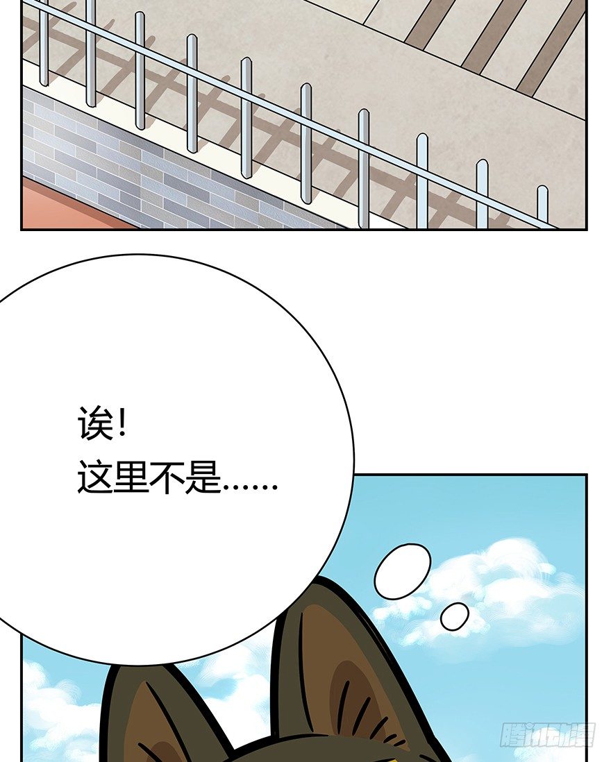 《回到过去变成猫外传》第60爪 行动开始 第6页