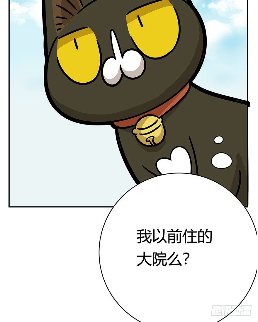 《回到过去变成猫外传》第60爪 行动开始 第7页