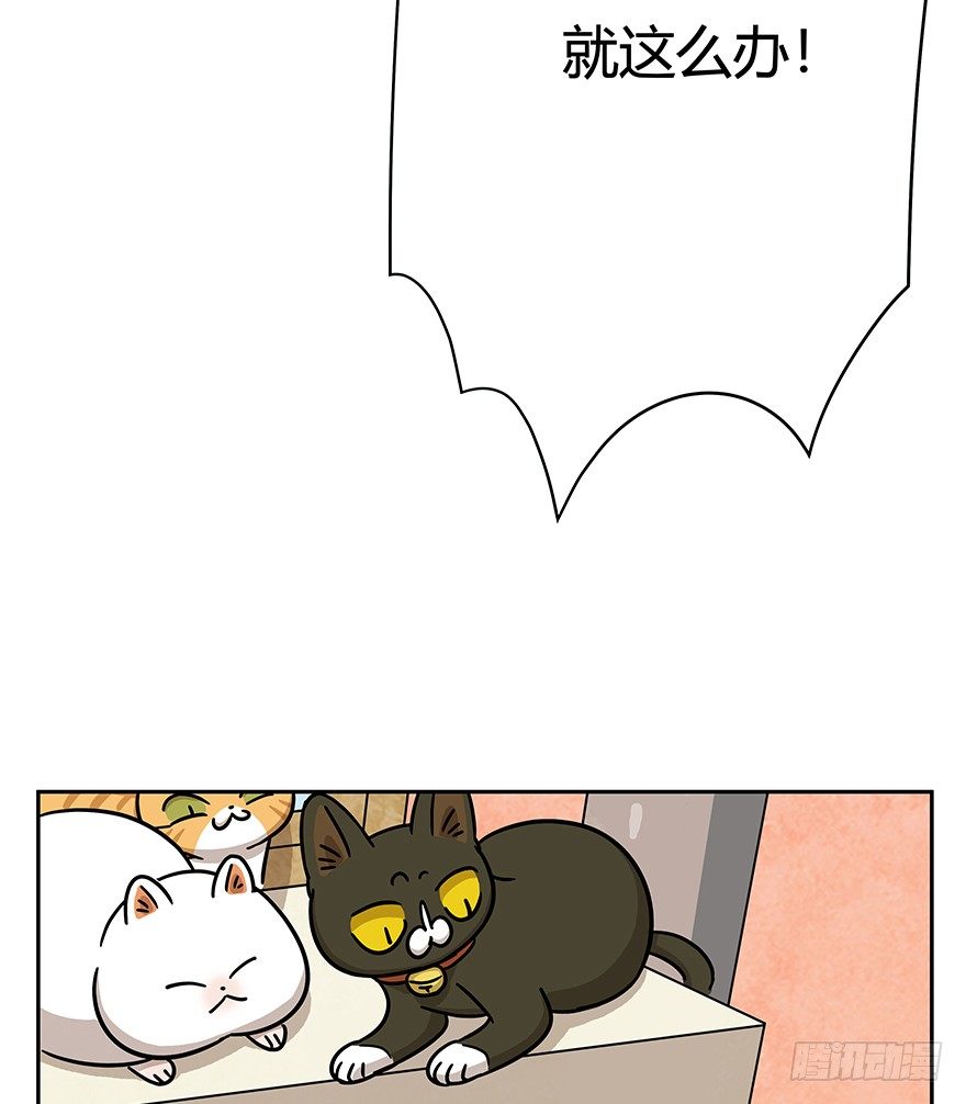 《回到过去变成猫外传》第61爪 “虐猫”照骗（上） 第10页