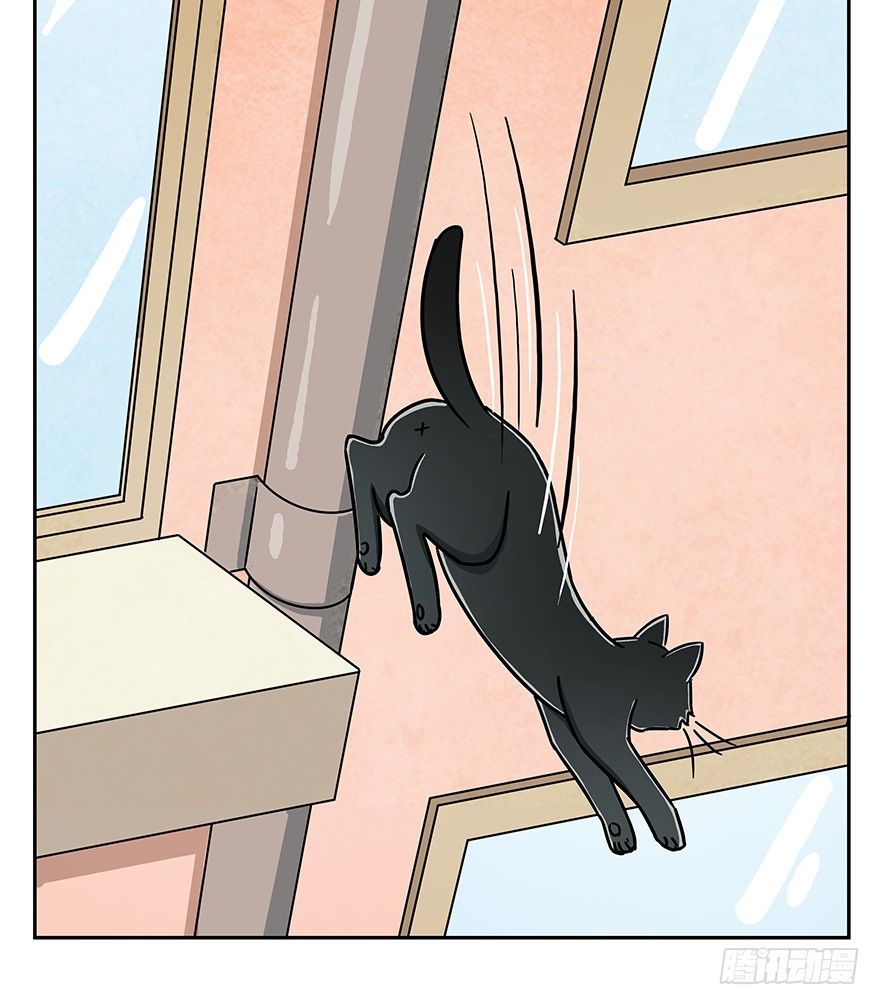 《回到过去变成猫外传》第61爪 “虐猫”照骗（上） 第12页