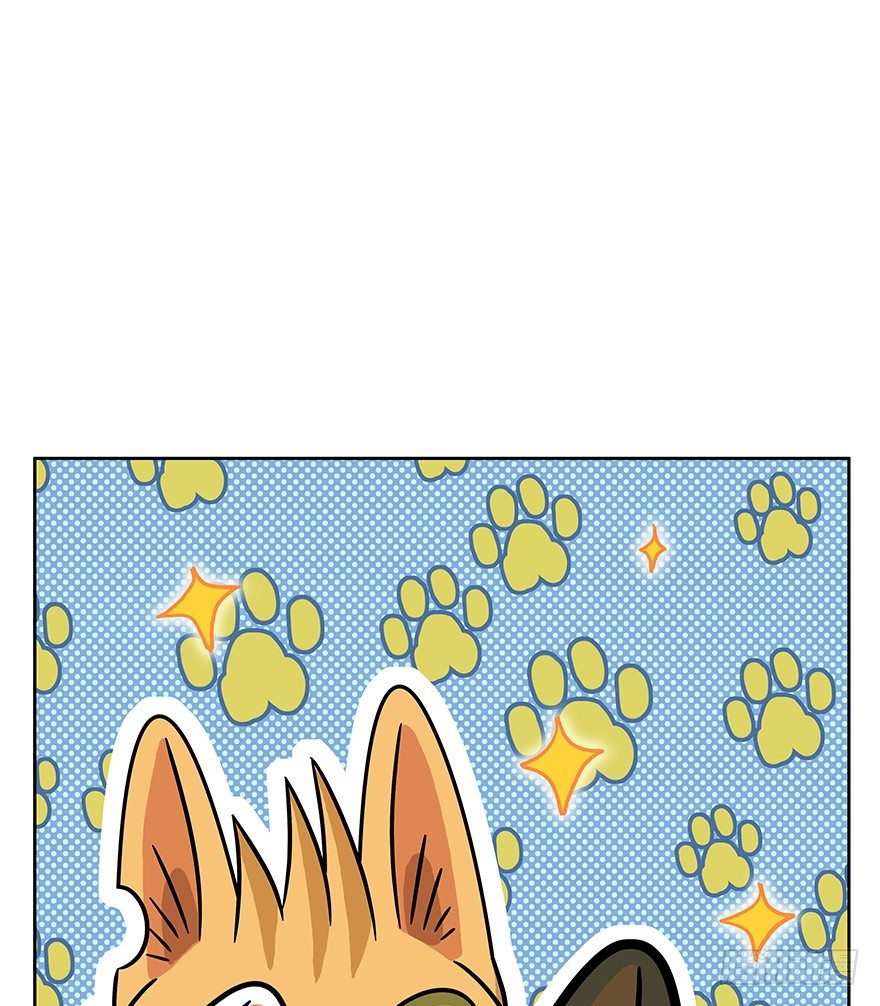 《回到过去变成猫外传》第61爪 “虐猫”照骗（上） 第13页