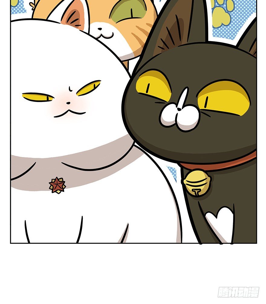 《回到过去变成猫外传》第61爪 “虐猫”照骗（上） 第14页