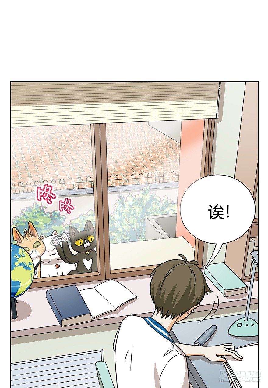 《回到过去变成猫外传》第61爪 “虐猫”照骗（上） 第15页